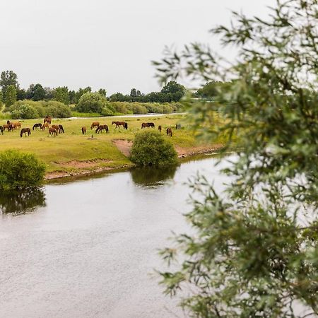 Thoeles*** Am Allerpark Verden Verden an der Aller Luaran gambar